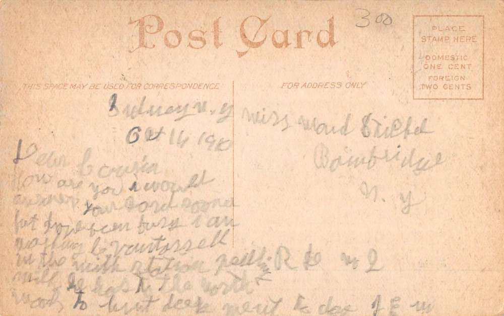 Sidney New York Hotel Street View Antique Postcard K54050 - Image 2