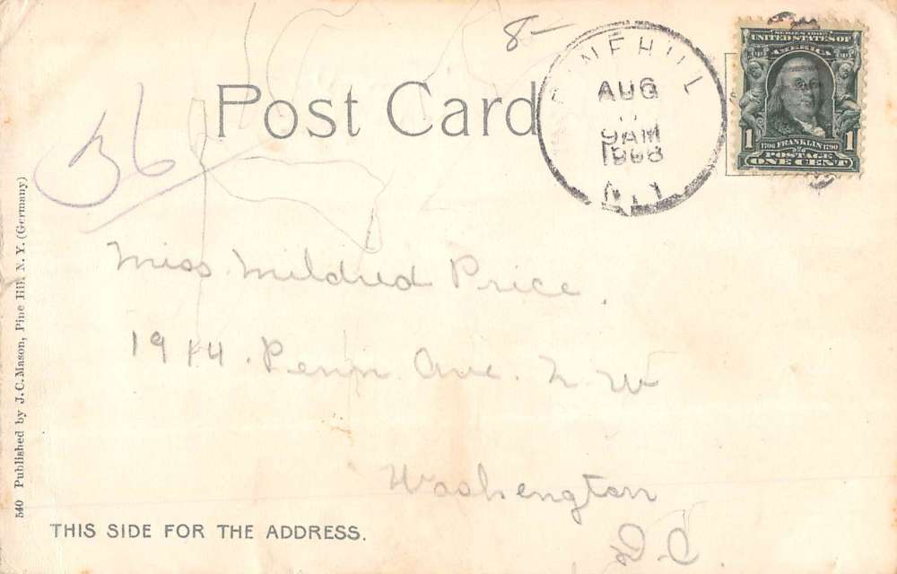 Catskill Mountain New York Pine Hill Scenic View Antique Postcard K54227 - Image 2