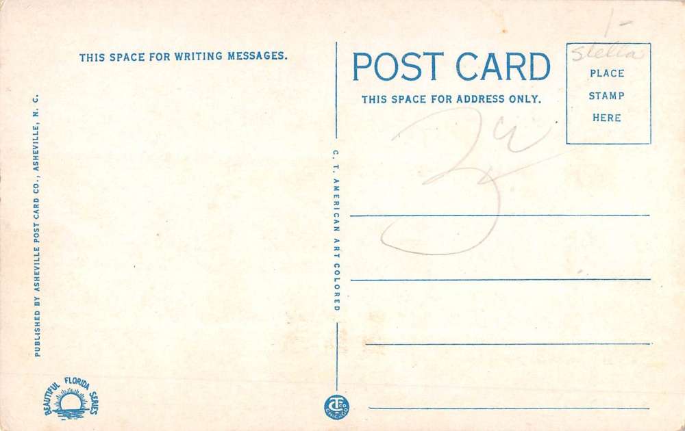 Tavares Florida Lake Court House Street View Antique Postcard K54231 - Image 2