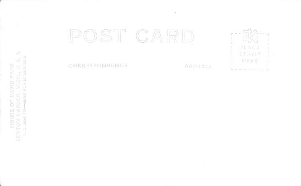 Benton Harbor Michigan David Park Train Real Photo Antique Postcard K54962 - Image 2