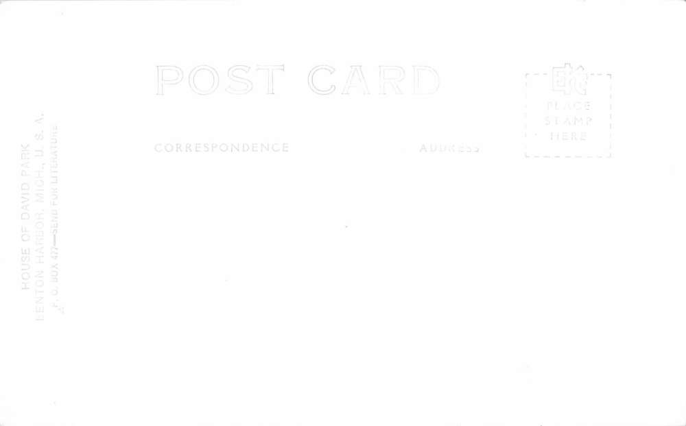 Benton Harbor Michigan David Park Speedway Real Photo Antique Postcard K54969 - Image 2