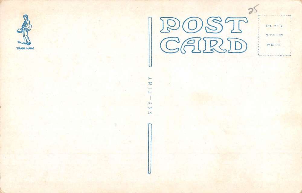 Angola New York Roman Catholic Church Street View Antique Postcard K55716 - Image 2