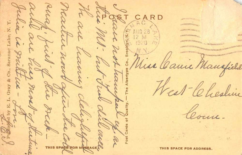 Adirondack Mountains New York Mt Baker Birdseye View Antique Postcard K56268 - Image 2