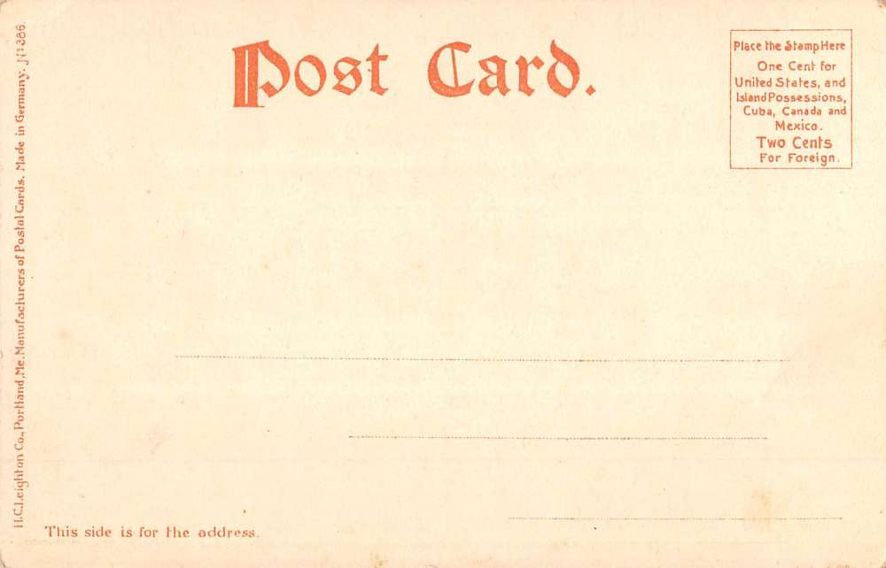 Munyons Island Florida Hybiscus Tree Scenic View Antique Postcard K56293 - Image 2