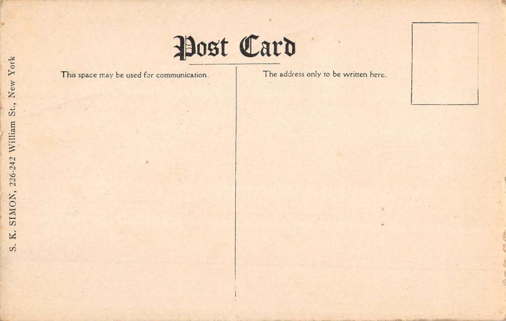 New York City Debarkation Hospital Conservatory Antique Postcard K56604 - Image 2