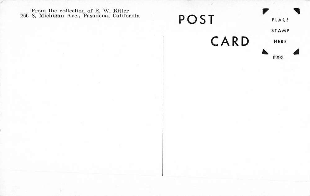 Pasadena California Noble Moose Head Humor Antique Postcard K60885 - Image 2