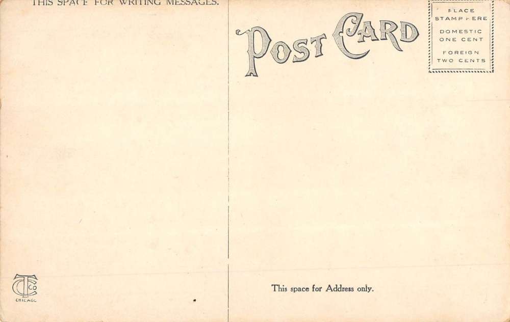 Galveston Texas Cotton For Export Birdseye View Antique Postcard K61434 - Image 2