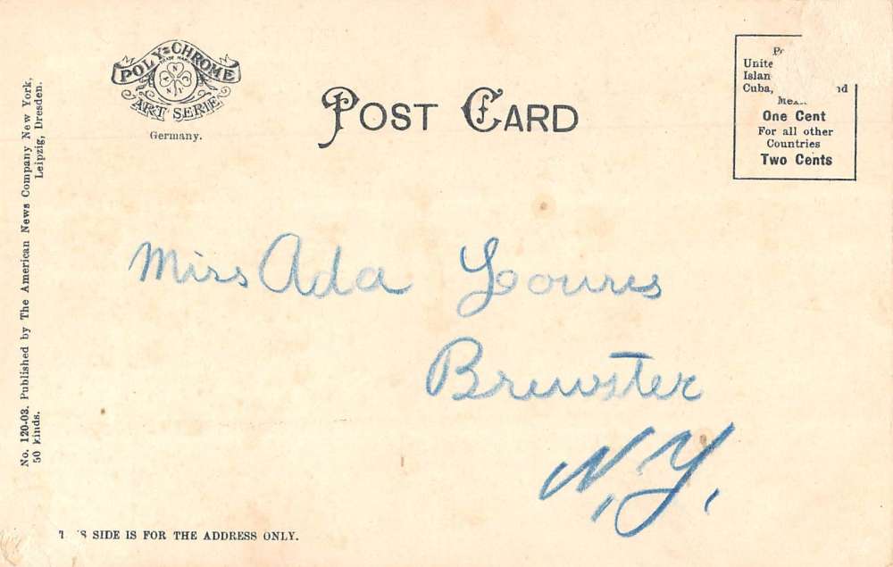 Brewster New York Pine Branch Berry Greeting Antique Postcard K61587 - Image 2