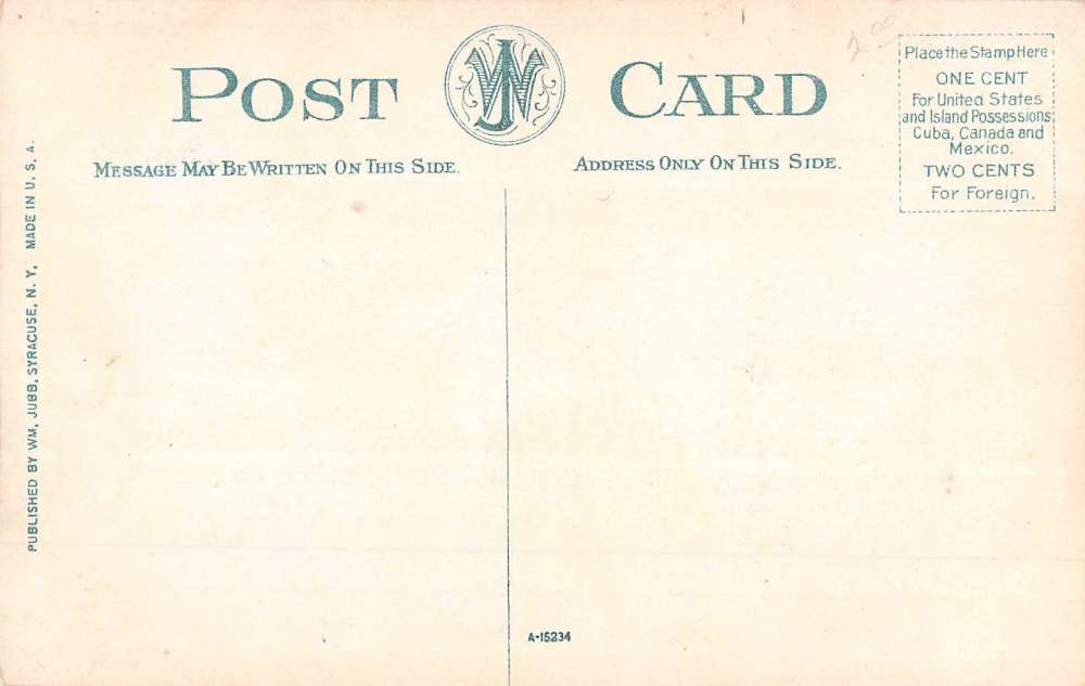 Fulton New York Park Street Scene Antique Postcard K62533 - Image 2