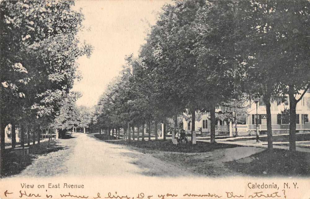 Caledonia New York View on East Avenue Street Scene Antique Postcard