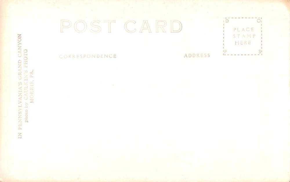 Morris Pennsylvania Grand Canyon Harrisons State Park Real Photo PC J66341 - Image 2