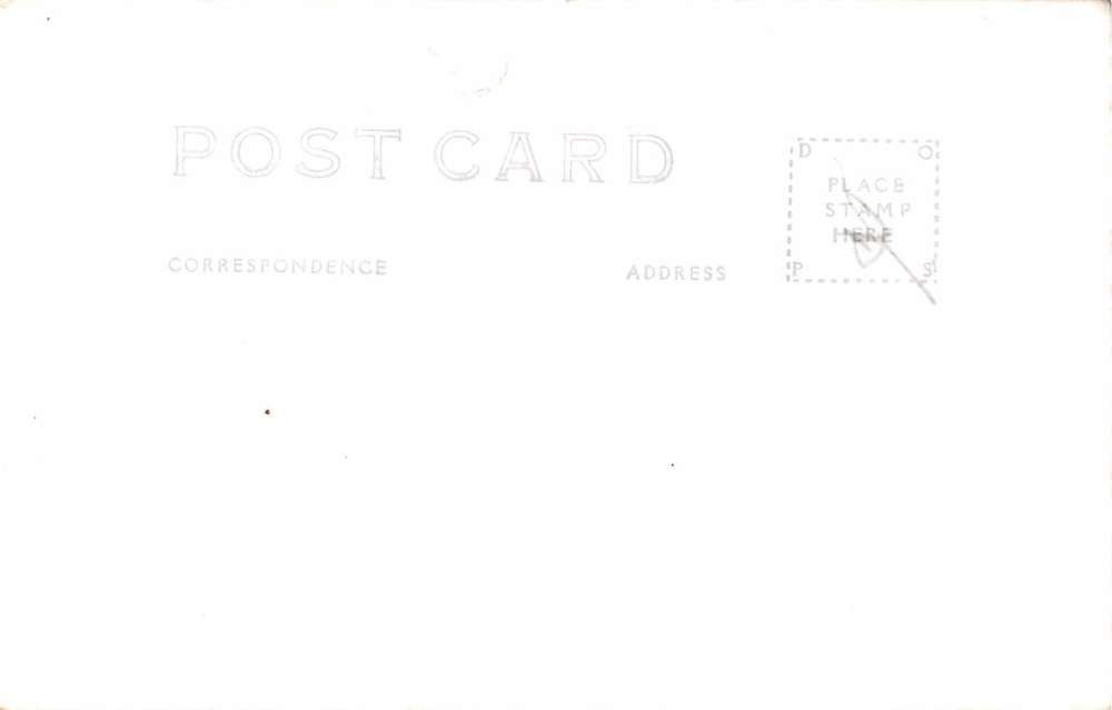 Davis West Virginia Blackwater Falls Real Photo Antique Postcard J66435 - Image 2