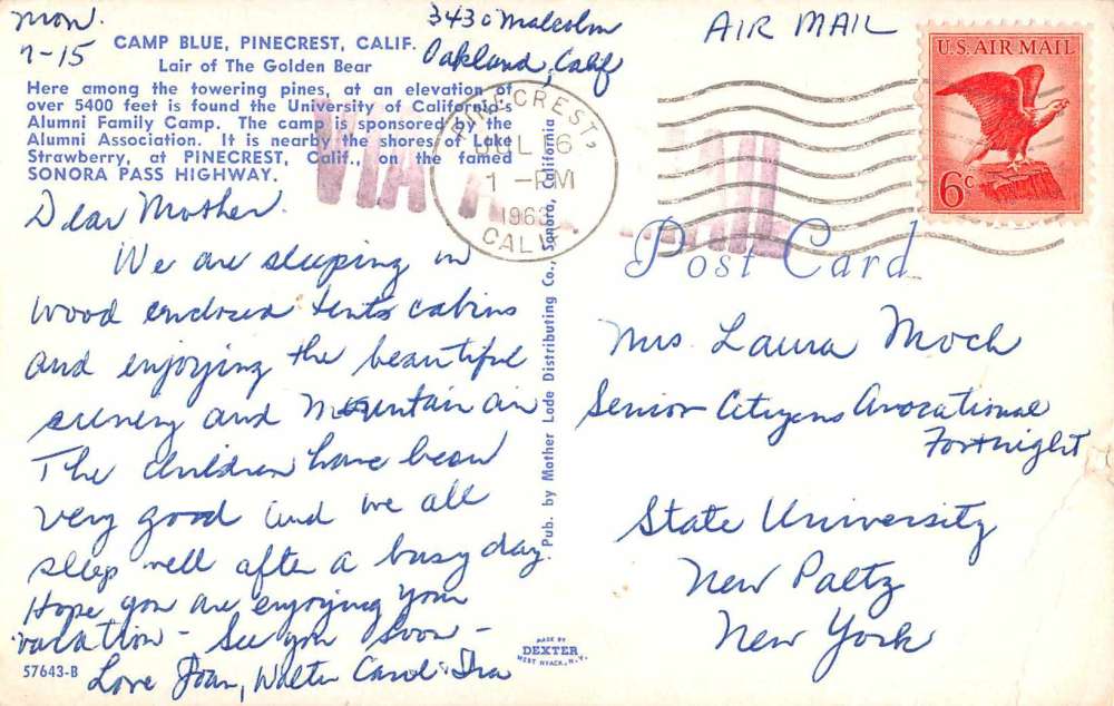 Pinecrest California Camp Blue Swimming Pool Vintage Postcard J66829 - Image 2