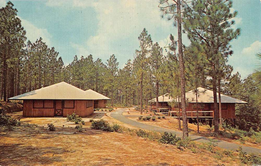 Southern Pines North Carolina Camp Easter In The Pines Vintage Postcard