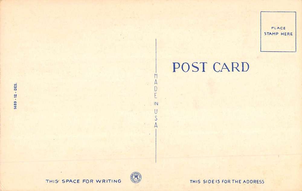 Spicer Minnesota Pond Roadway Greeting Antique Postcard K65707 - Image 2