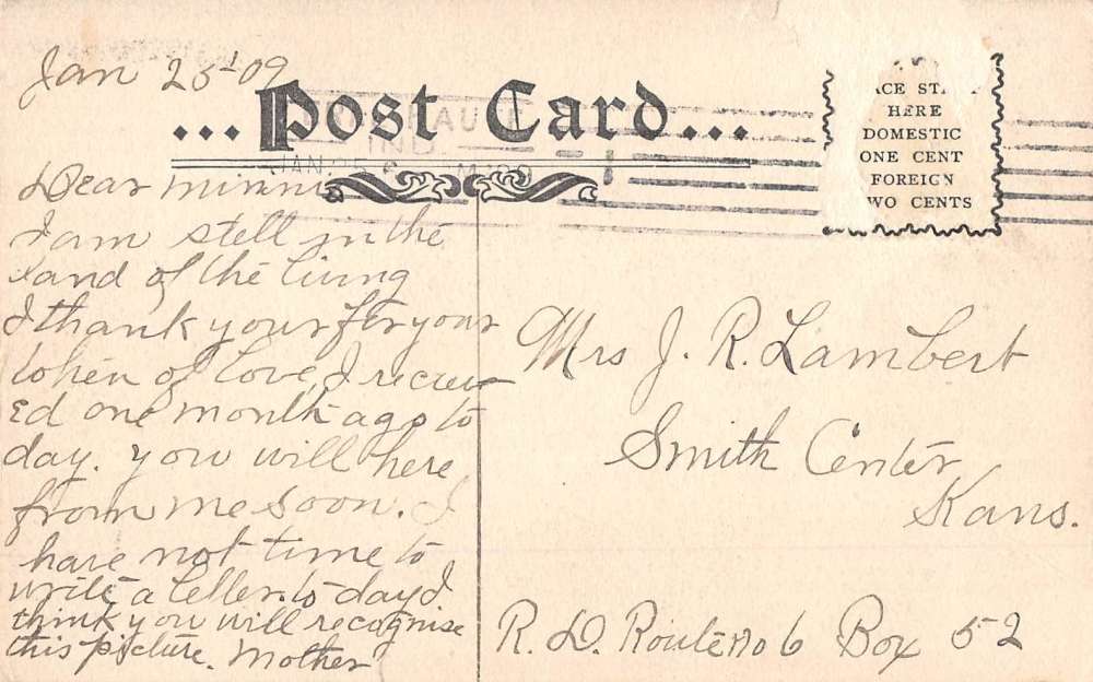 Terre Haute Indiana Rose Orphan Home Street View Antique Postcard K67419 - Image 2