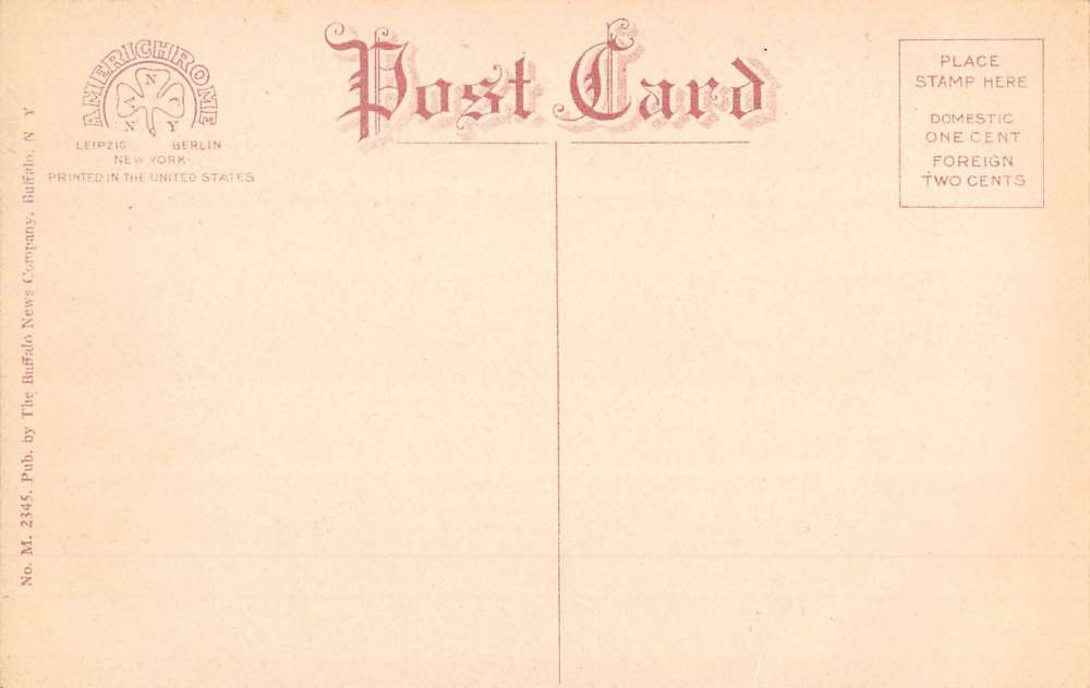 Dansville New York Birdseye View Of City Antique Postcard K69452 - Image 2