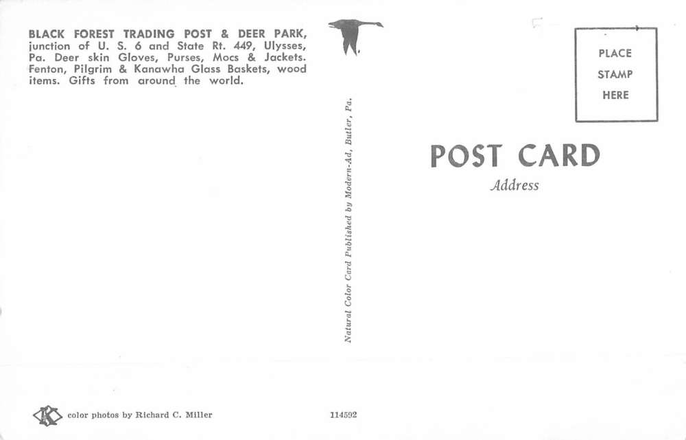 Ulysses Pennsylvania Black Forest Trading Post Multiview Vintage Postcard K69595 - Image 2