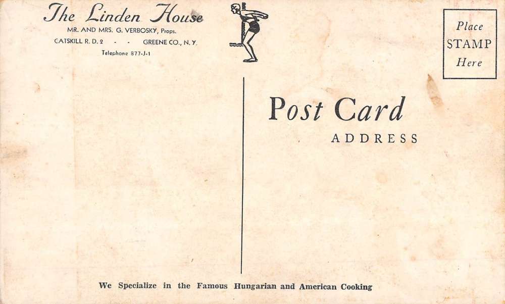 Greene Co New York Linden House Courtyard Antique Postcard K70313 - Image 2