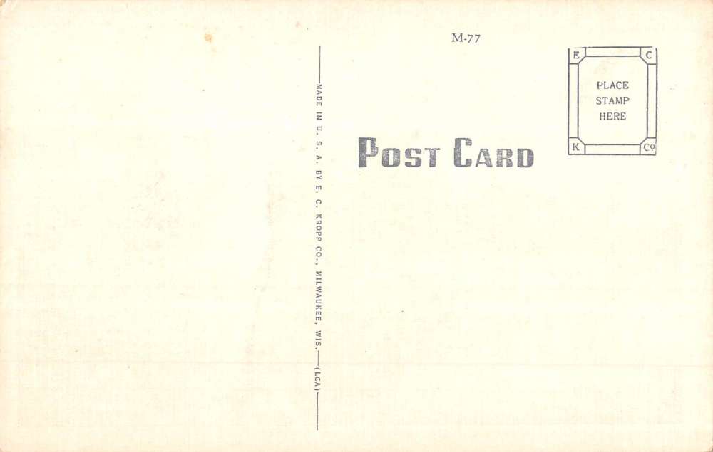 Rice Lake Wisconsin Isle Of Pines Waterfront Antique Postcard K70489 - Image 2