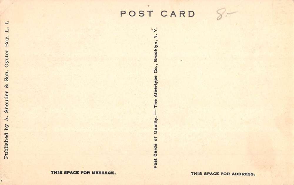 Oyster Bay New York Library Street View Antique Postcard K70698 - Image 2