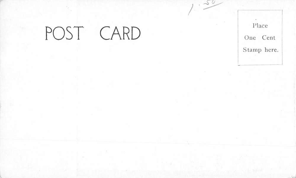 Three Mile Island Pennsylvania Path From Boat Landing Antique Postcard K70987 - Image 2