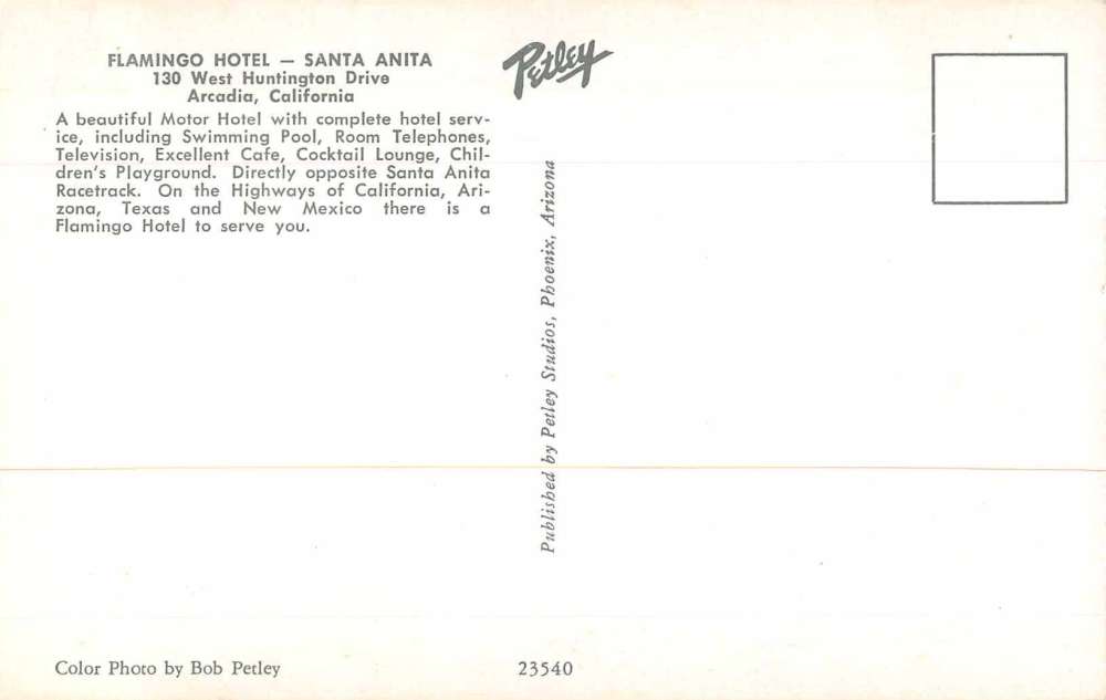 Arcadia California Sanata Anita Flamingo Hotel Swimming Pool Postcard J69407 - Image 2