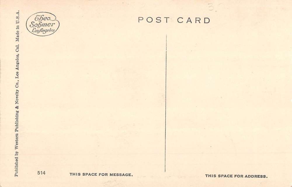 Catalina Island California Steel Steamship Avalon Antique Postcard K71825 - Image 2