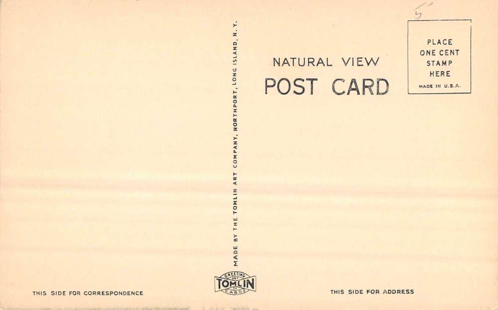 South Haven New York Presbyterian Church Street View Antique Postcard K72376 - Image 2