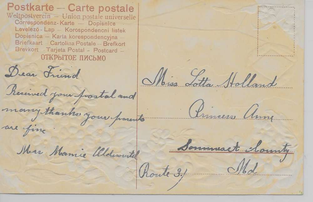 Baltimore Maryland Greetings From blue flowers glittered antique pc Z39685 - Image 2