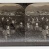 Uji Japan Girls Picking Tea Leaves Antique Stereoview J70474