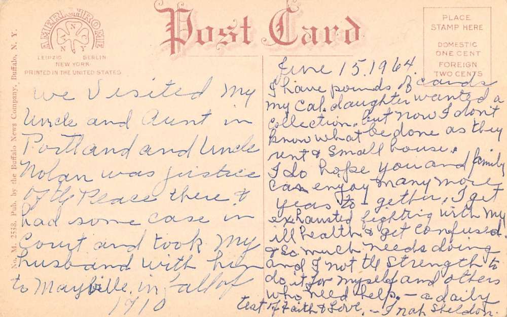 Mayville New York Chautauqua Court House Street View Antique Postcard