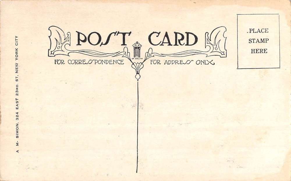 Schuyler Lake New York Village Square Street View Antique Postcard K77494 - Image 2