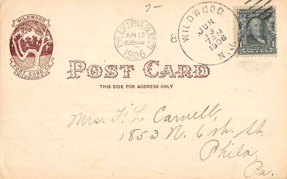 Wildwood New Jersey Birds On Wires Antique Postcard K78284 - Image 2