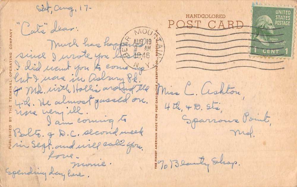 Bear Mountain Park New York Playfield Birdseye View Antique Postcard K78501 - Image 2