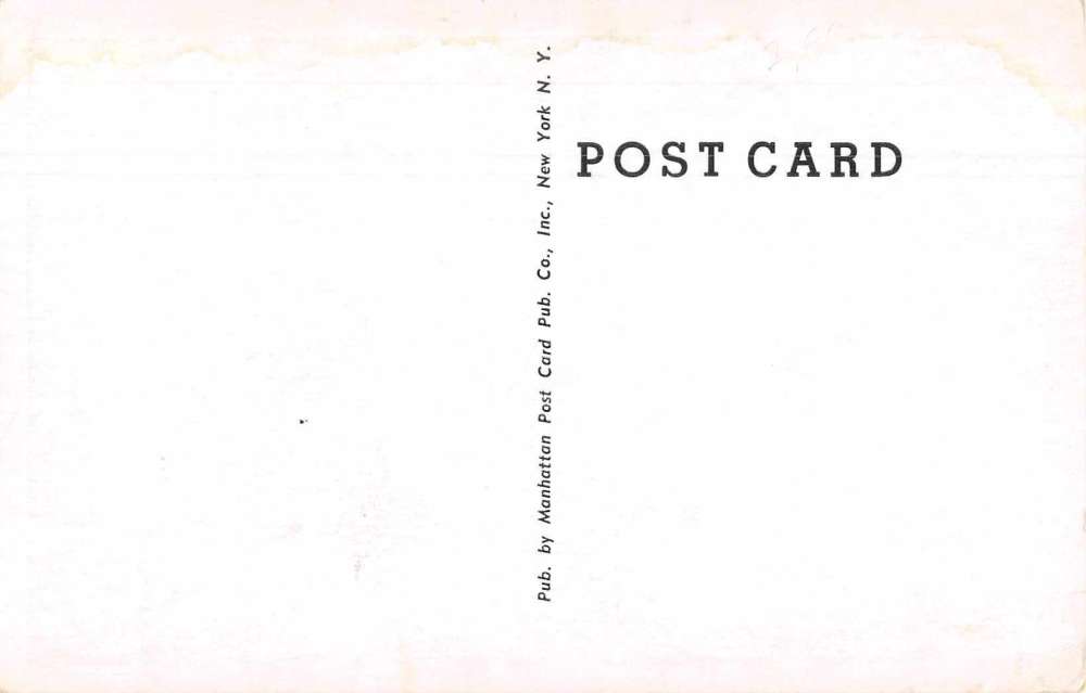 New York City Chinese New Year Dragon Parade Scene Antique Postcard J73064 - Image 2