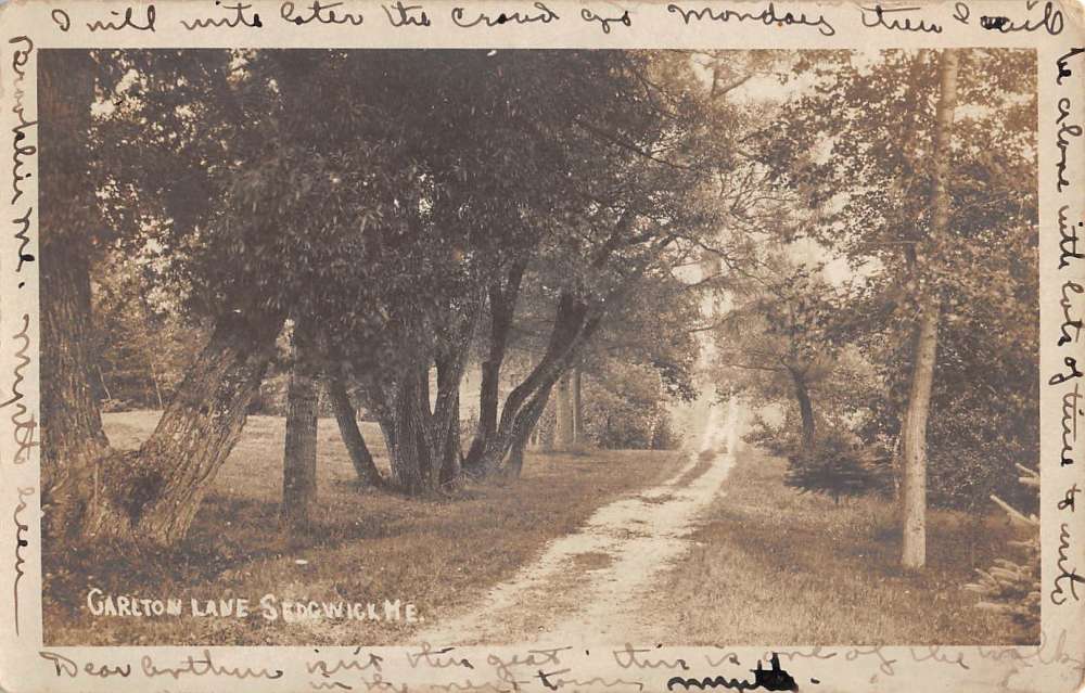Sedgwick Maine Carlton Lane Real Photo Antique Postcard K81072 Mary L