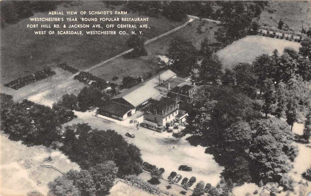 Westchester Co New York aerial view Schmidt's Farm antique pc Z43393