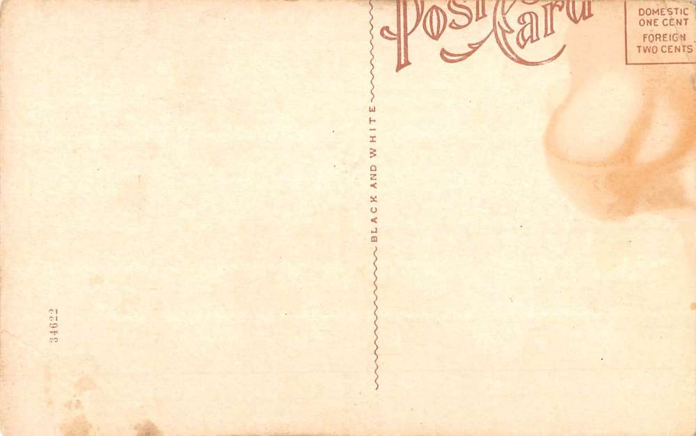 New Berlin New York Presbyterian Church Street View Antique Postcard K82039 - Image 2