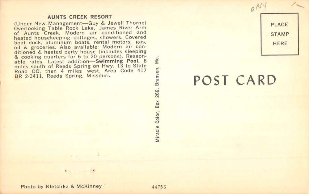 Reeds Spring Missouri Aunts Creek Resort Street View Vintage Postcard