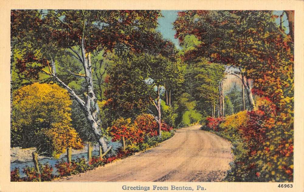Benton Pennsylvania Forest Roadway Greeting Antique Postcard K83570