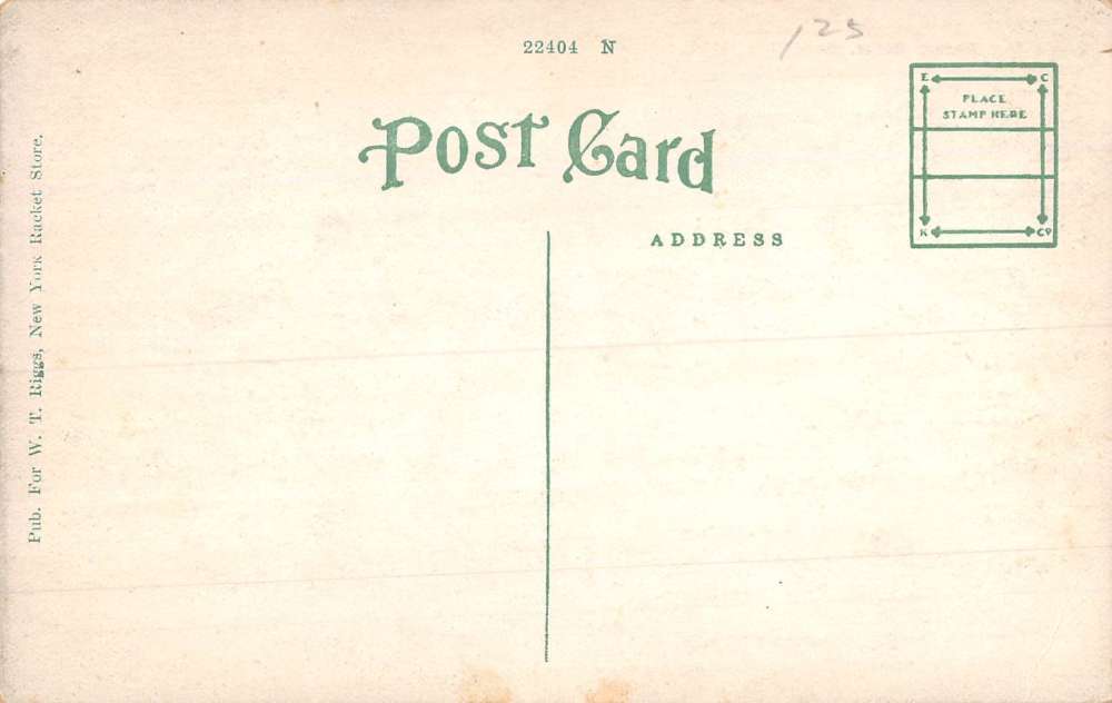 Reed City Michigan Hersey River Waterfront Antique Postcard K83732 - Image 2