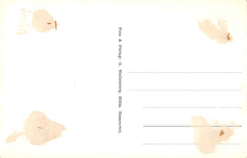 Molle Sweden Church Scenic View Real Photo Antique Postcard J73644 - Image 2