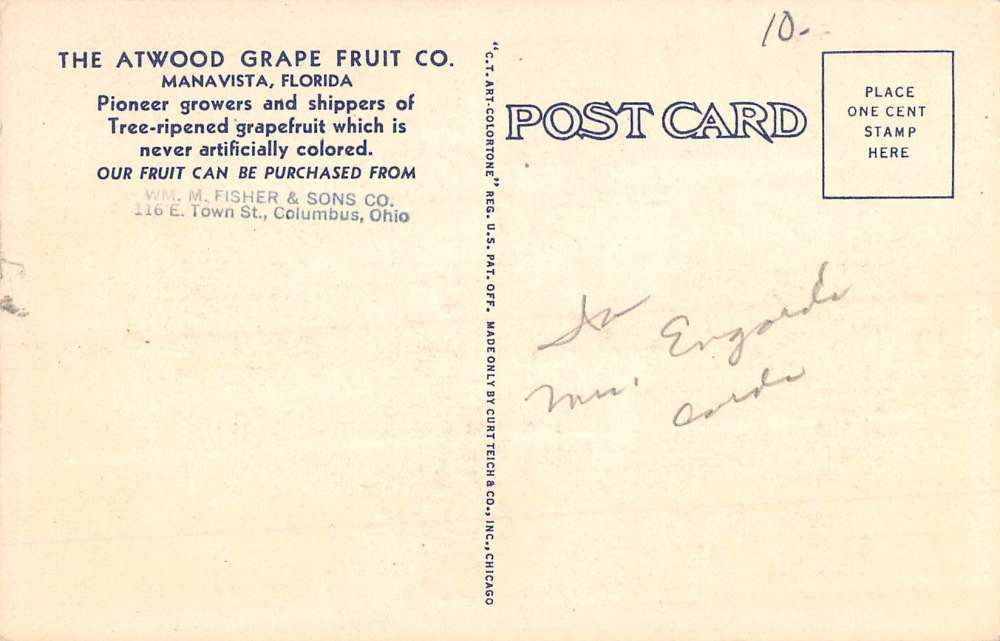 Manavista Florida Atwood Grapefruit Grove Antique Postcard K84541 - Image 2