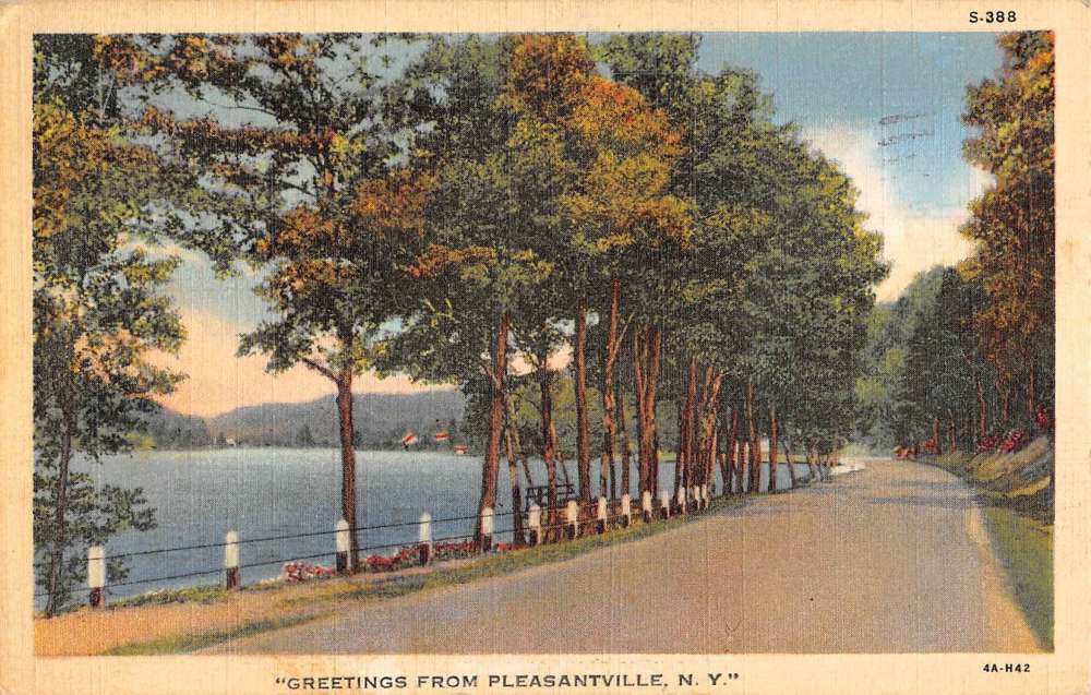 Pleasantville New York Waterfront Roadway Greeting Antique Postcard
