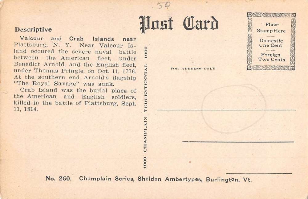 Plattsburgh New York Crab Island Birdseye View Antique Postcard K84853 - Image 2