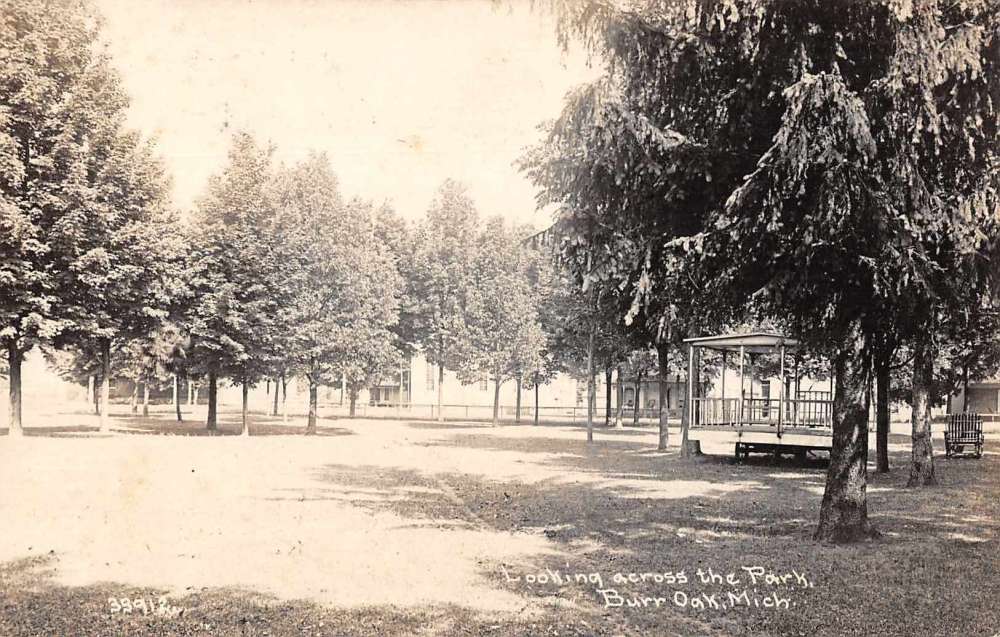 Burr Oak Michigan Looking Across the Park Real Photo Antique Postcard
