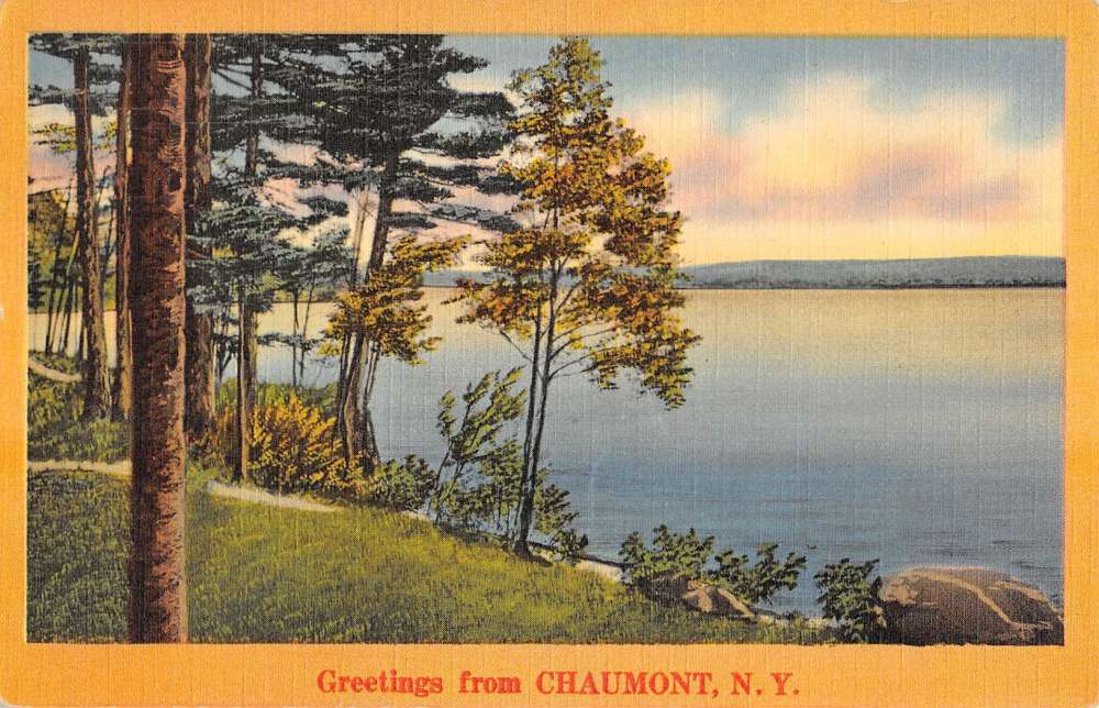 Chaumont New York Scenic Waterfront Greeting Antique Postcard K85467