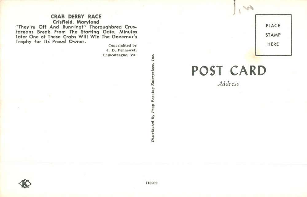 Crisfield Maryland Crab Derby Race Vintage Postcard K85879 - Image 2