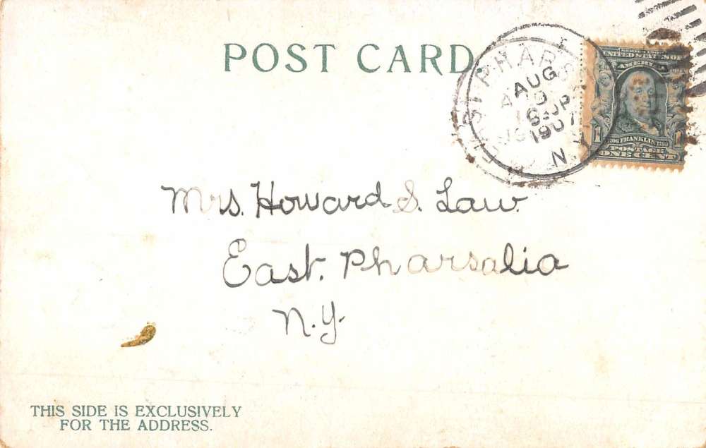 Greene New York Four Leaf Clover Luck Greeting Antique Postcard K86411 - Image 2